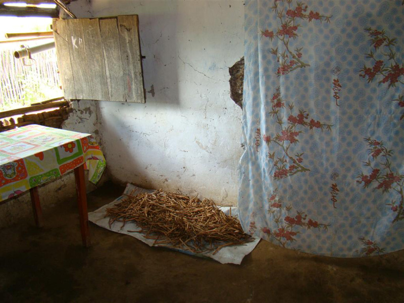 Ação Social Construção de Cisternas - UBIC