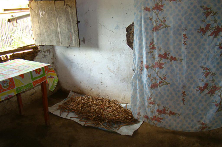 Ação Social Construção de Cisternas - UBIC